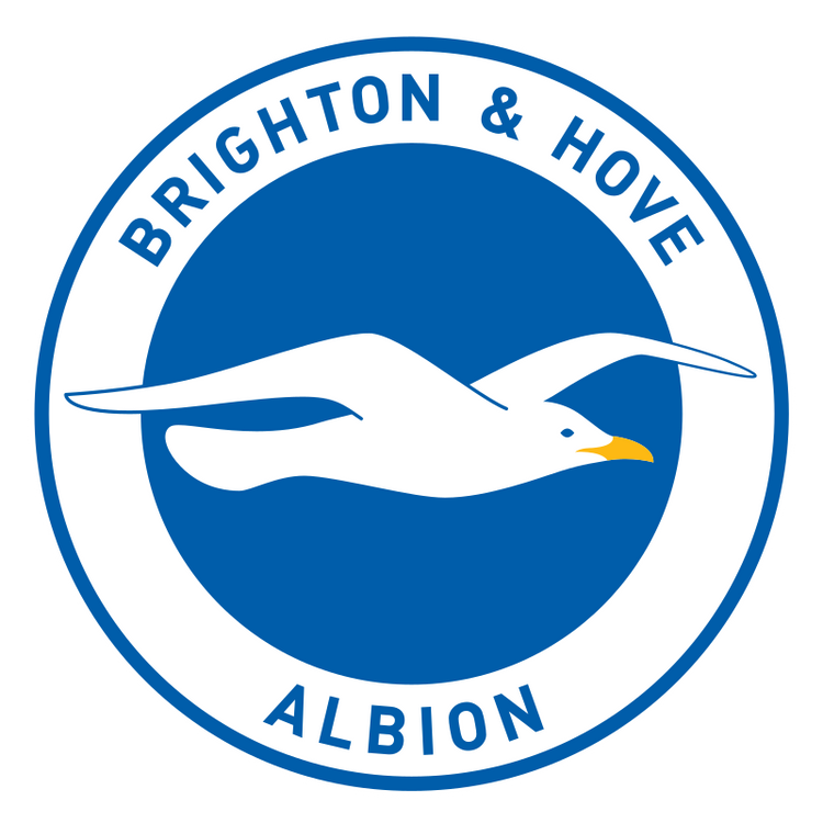 Brighton & Hove Albion Car Floor Mats