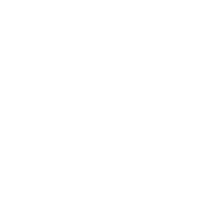 Custom Car Boot Liners to fit Kia Rio cars