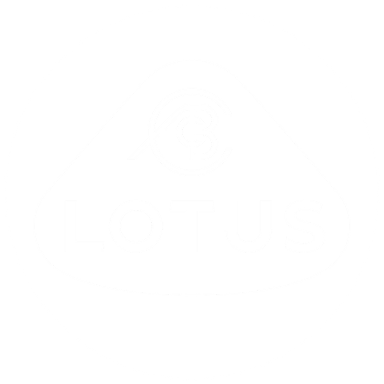 Custom Floor Mats to fit Lotus Emira cars