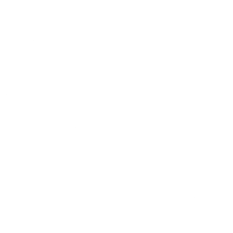 Custom Floor Mats to fit Mercedes EQS cars
