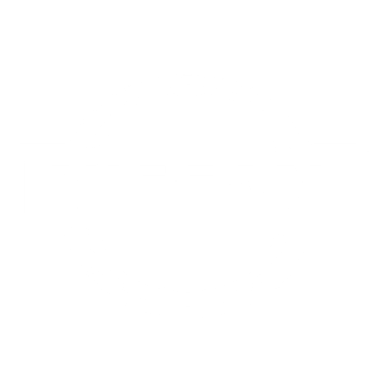 Custom Floor Mats to fit Nissan Leaf cars