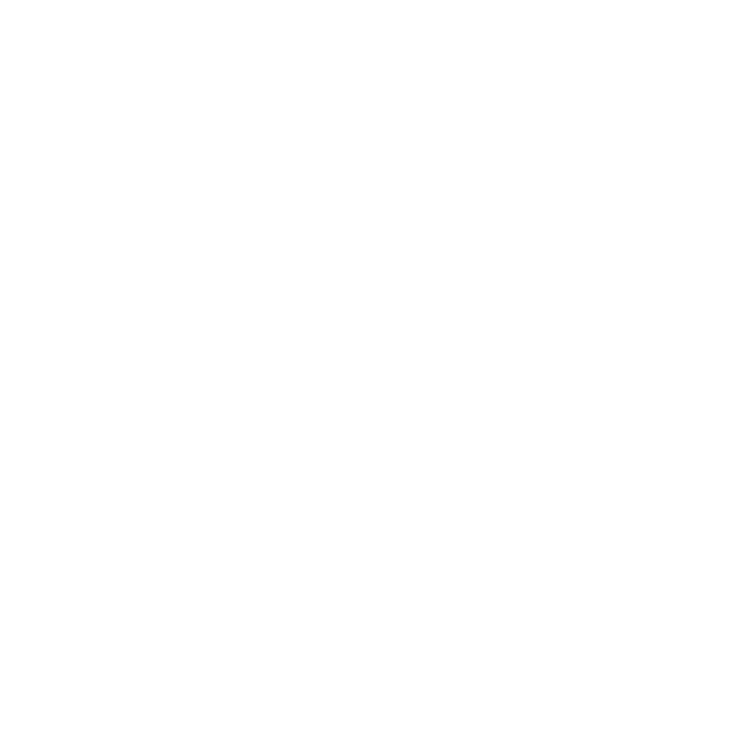 Custom Floor Mats to fit Proton Gen2 cars