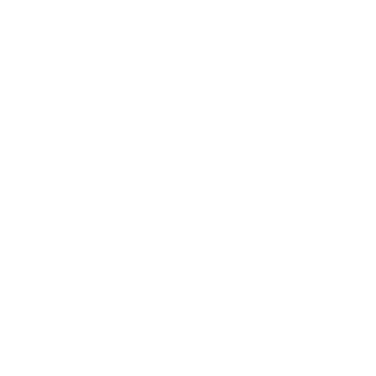 Custom Floor Mats to fit Renault Master cars