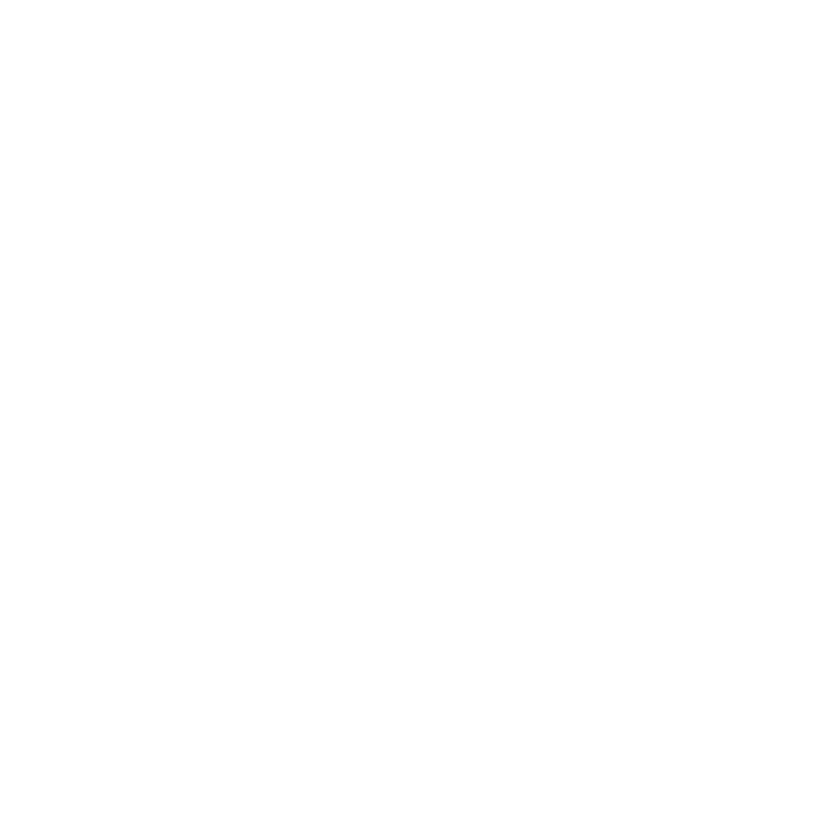 Custom Floor Mats to fit Skoda Scala cars