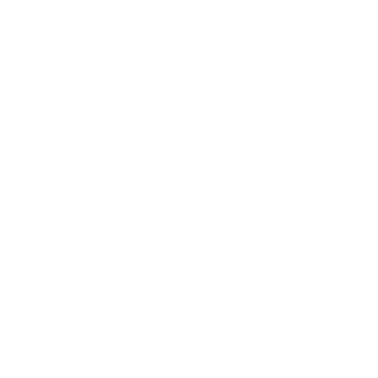 Custom Floor Mats to fit Toyota Verso S cars
