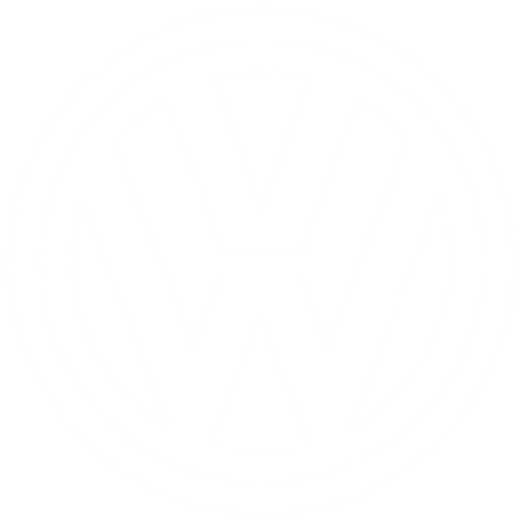 Custom Floor Mats to fit Volkswagen T5 Facelift/T6 Combi cars