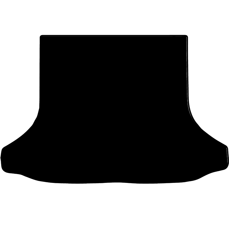 Toyota RAV4 2002 to 2006 (5 door) Boot Mat