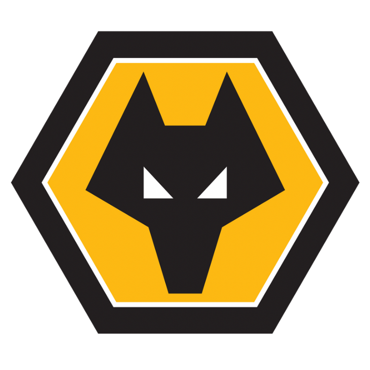 Wolverhampton Wanderers FC Car Floor Mats