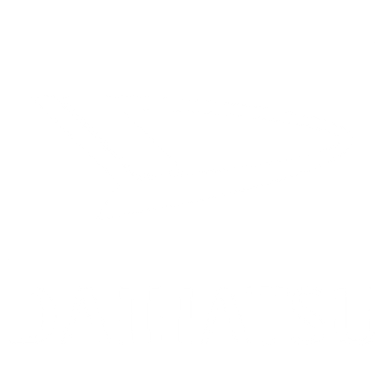 Custom Floor Mats to fit Daihatsu TVR cars