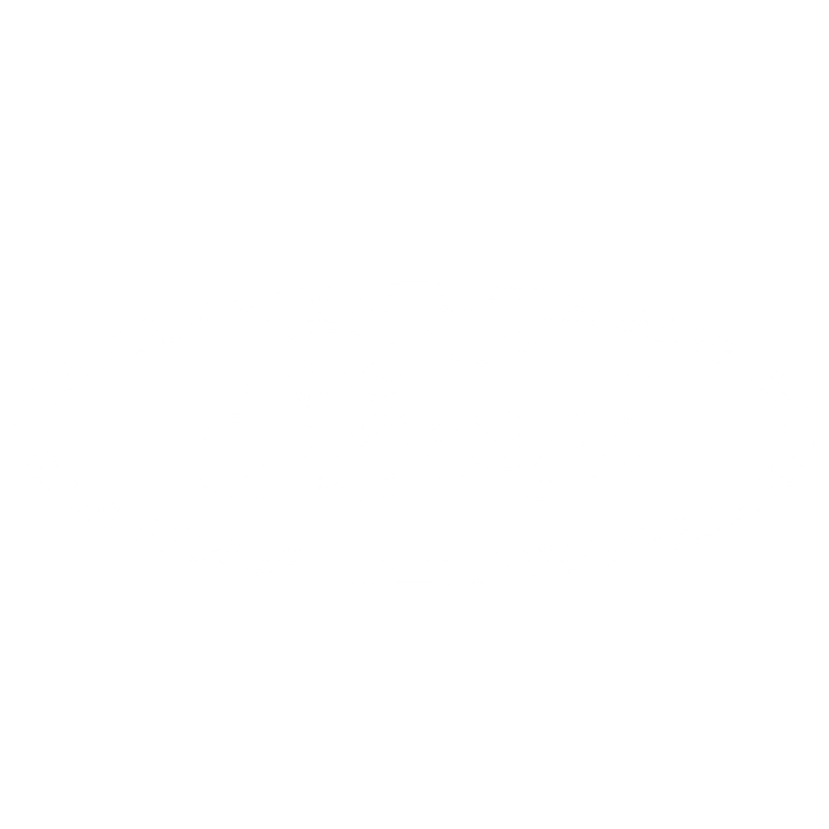 Custom Floor Mats to fit Ford Explorer cars