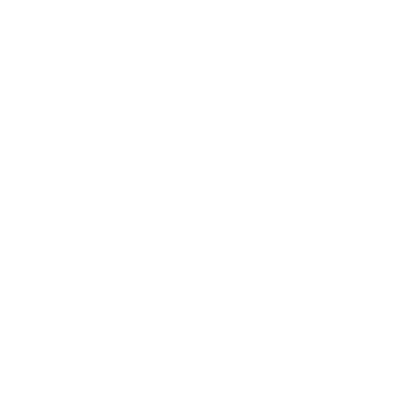 Custom Floor Mats to fit Ford cars