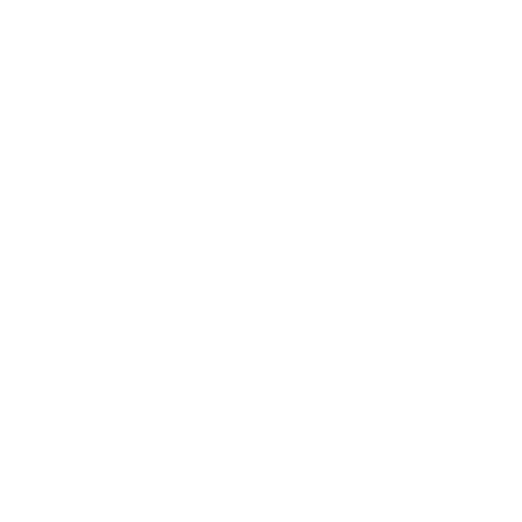 Custom Floor Mats to fit Lexus RX cars