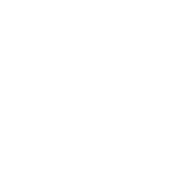 Custom Floor Mats to fit MG MGF cars