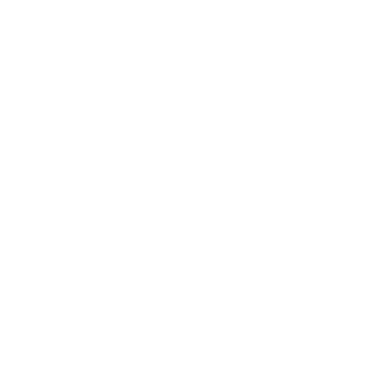 Custom Floor Mats to fit Audi RS6 cars