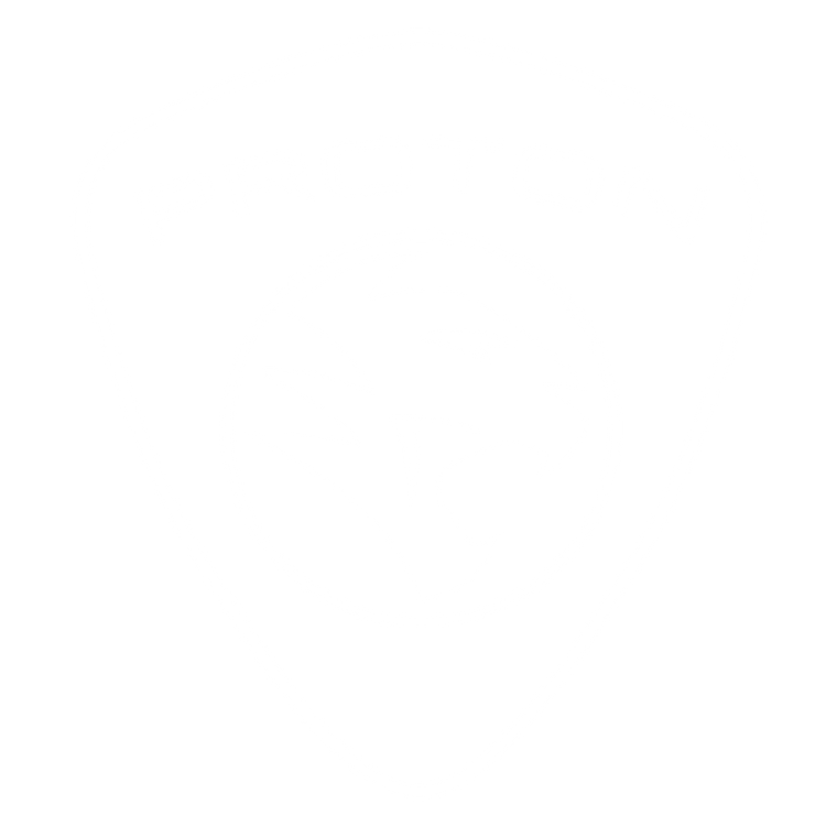 Custom Floor Mats to fit Proton Impian cars