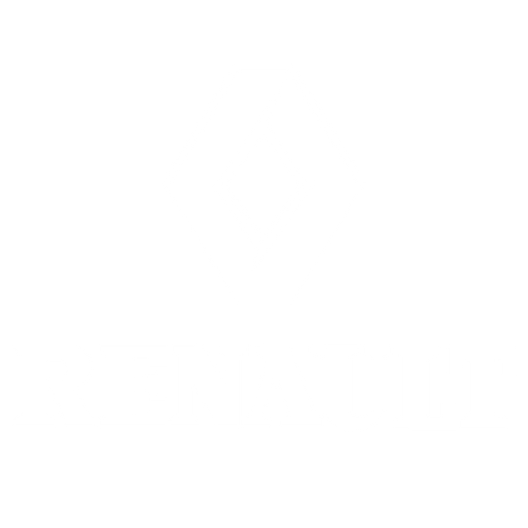 Custom Floor Mats to fit Renault Rafale cars