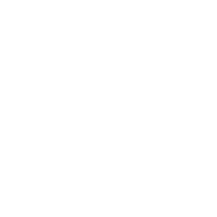 Custom Floor Mats to fit Seat Mii cars