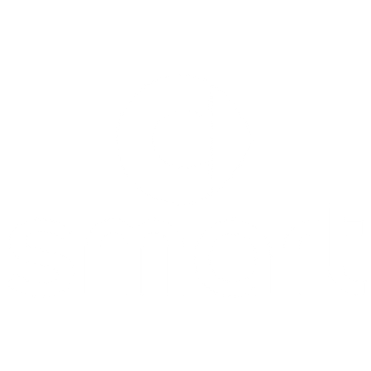 Custom Floor Mats to fit Smart cars