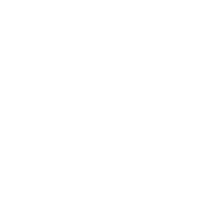 Custom Car Boot Liners to fit Tesla X cars