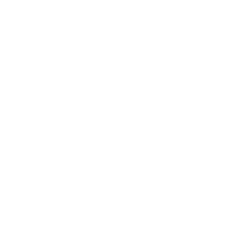 Custom Car Boot Liners to fit Tesla cars