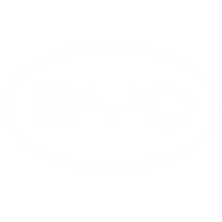 Custom Floor Mats to fit BYD Dolphin cars