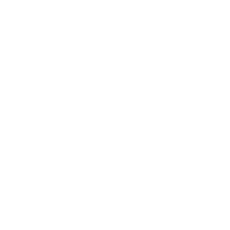 Custom Floor Mats to fit Genesis cars