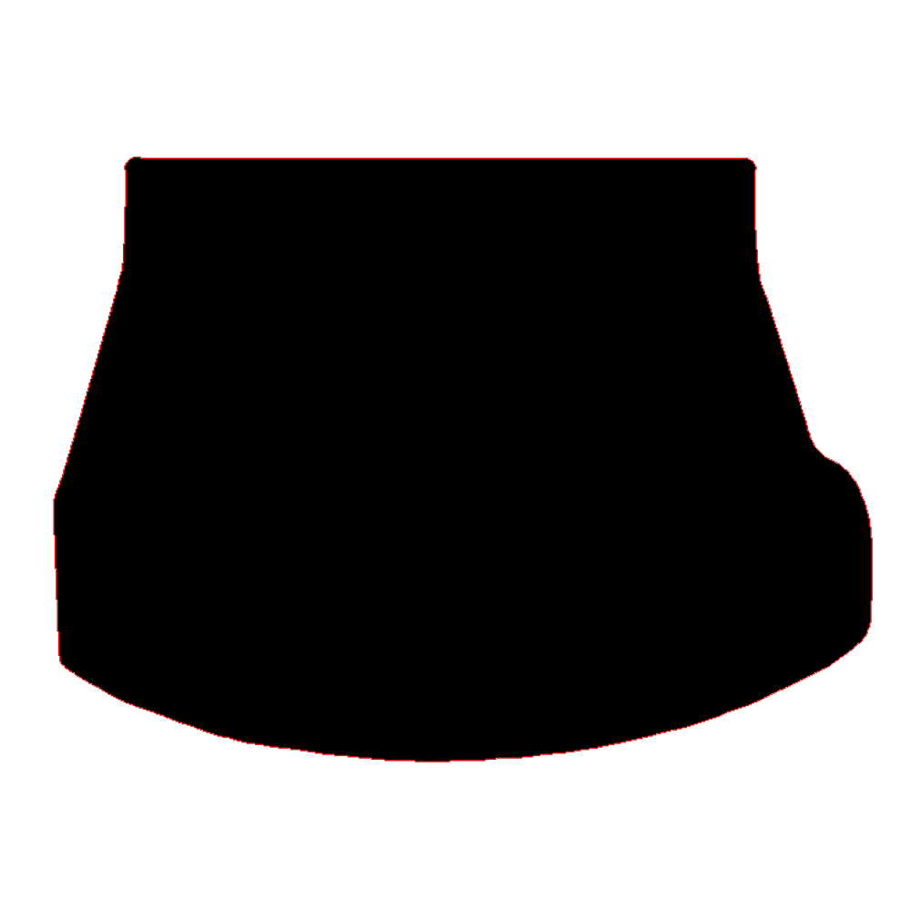Lexus NX 2021 to Current 350 H Boot Mat 