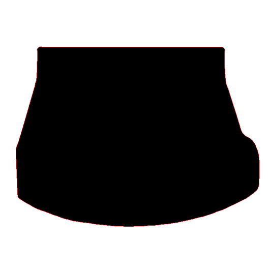 Lexus NX 2021 to Current 350 H Boot Mat 